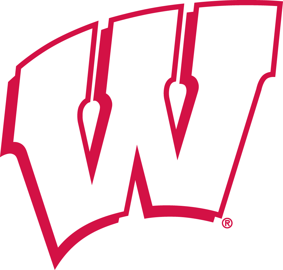 Wisconsin Badgers 1991-2017 Alternate Logo iron on transfers for T-shirts